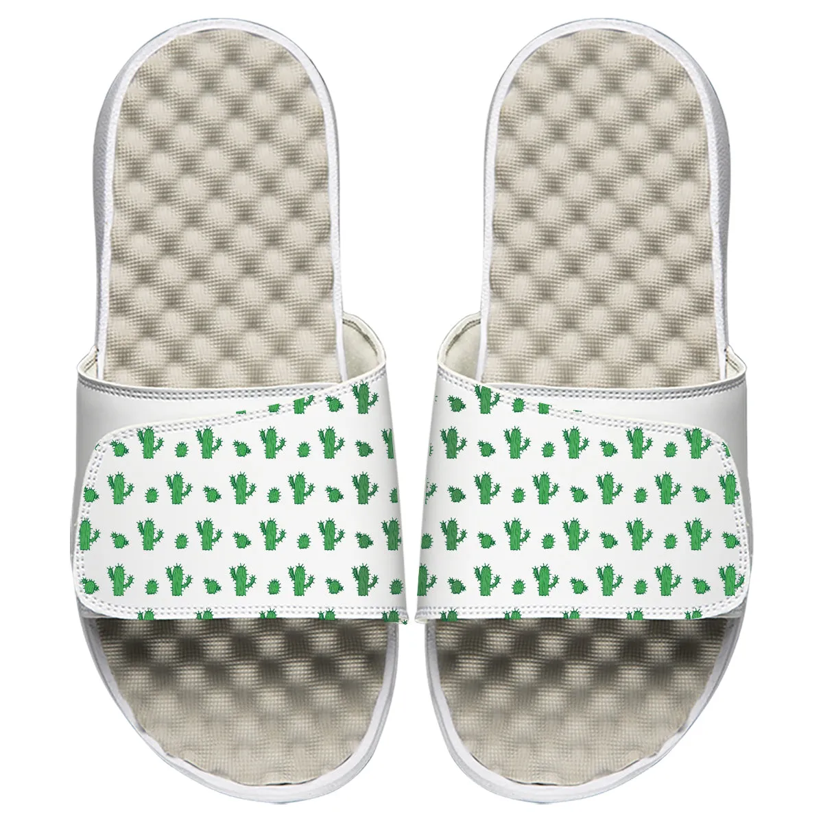 Cacti Pattern Slides