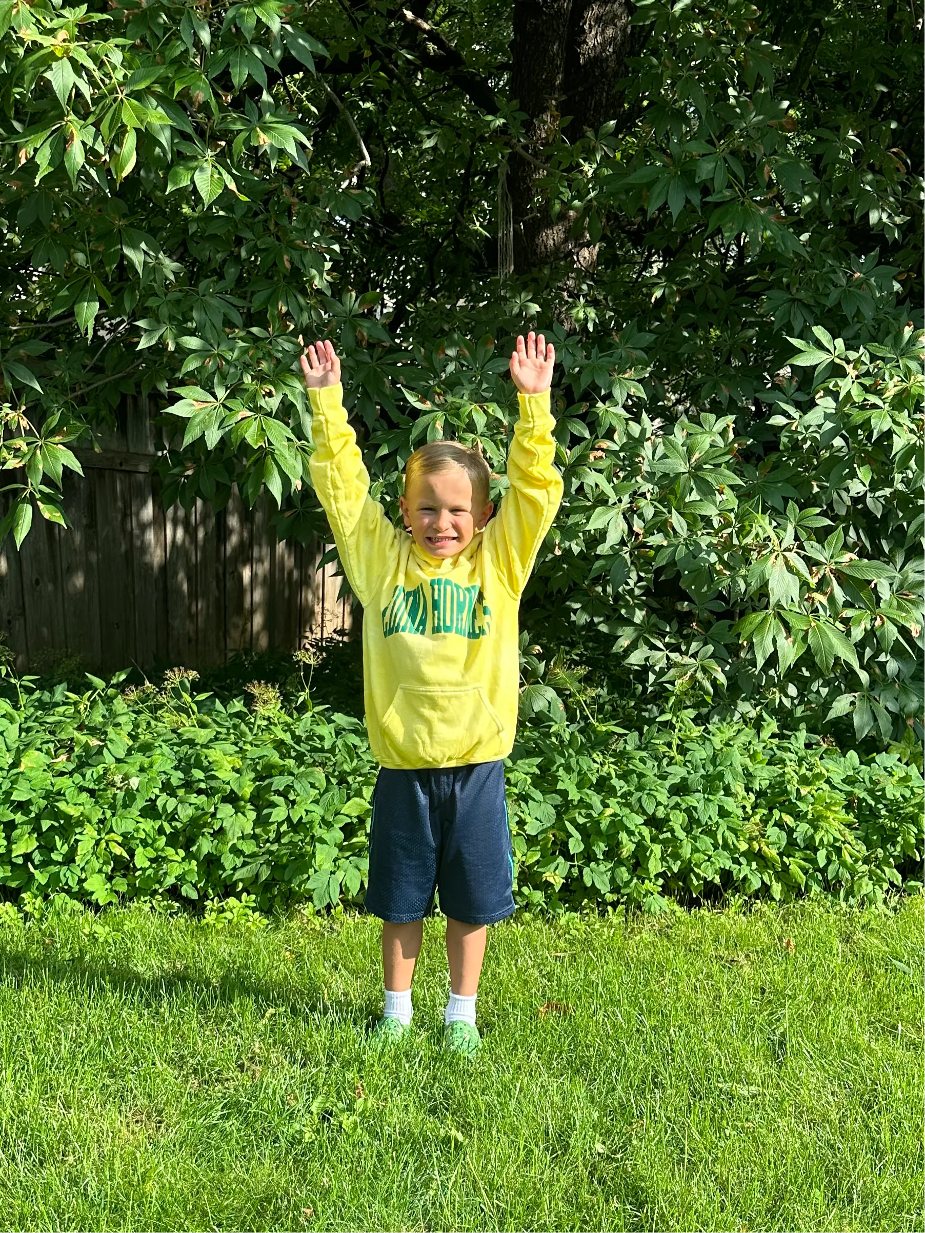 Youth Yellow Hoody Edina Hornets